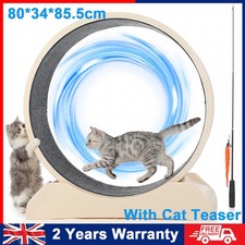 Cat Exercise Wheel Versatile