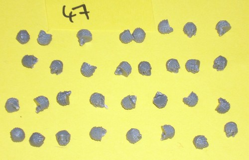 28mm spares pack victrix - spares,