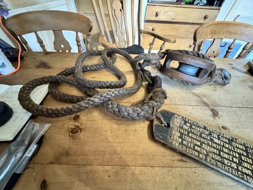 Rare breechers buoy with - breechers,