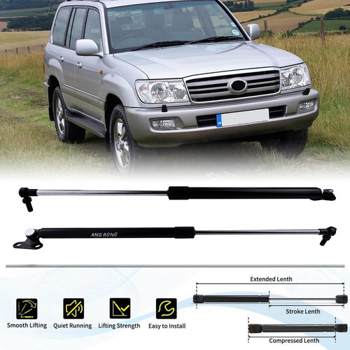 Tailgate boot gas struts - gas,