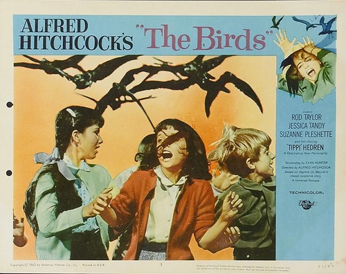 Vintage the birds 1963 - "the,