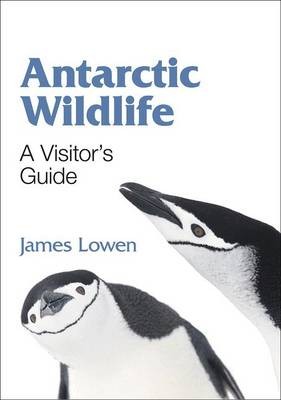 Antarctic wildlife james - wildlife,