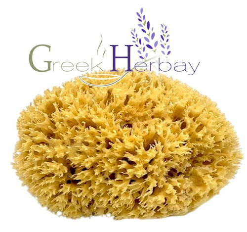 Natural dried greek sea sponge - natural,