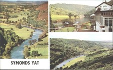Vintage SYMONDS YAT Postcard