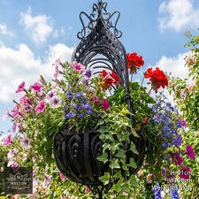 Stunning Large Ornate Hanging
