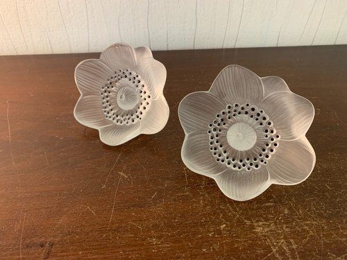 Anemone flowers lalique - flowers,