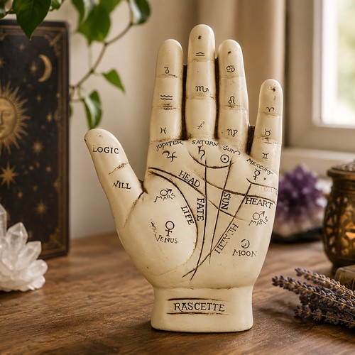 Medium palmistry palm - palmistry, reading