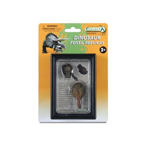 Collecta tooth and tail - tail, club