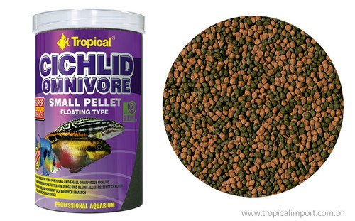 Tropical cichlid fish - cichlid, food