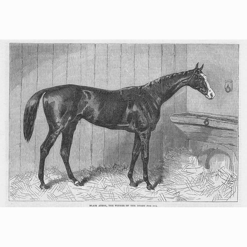 Horse racing blair - horse, athol