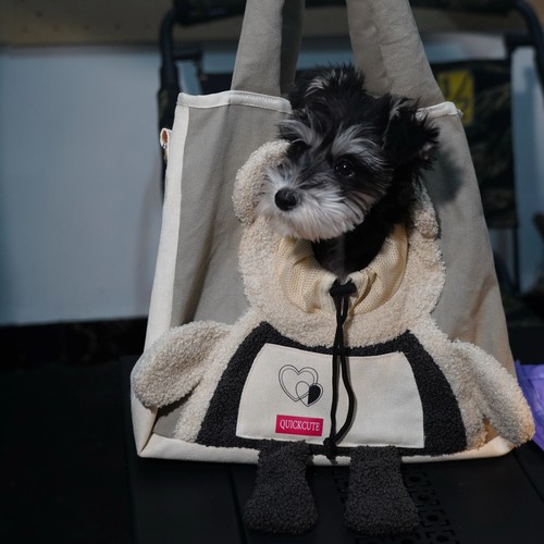 Small dog sling carrier puppy - small,