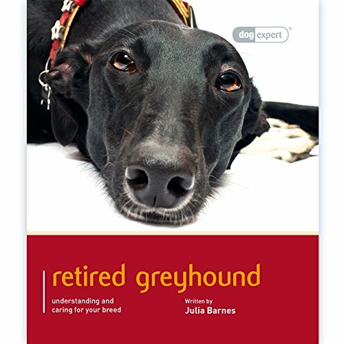 Greyhound dog expert julia - greyhound:,