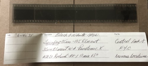Vintage 1971 35mm negative - vintage,