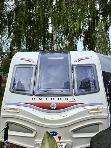 Bailey unicorn valencia - s2,
