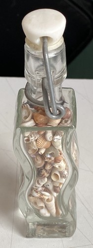 Greek small seashells - , in