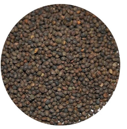 Tares 1kg fishing - 1kg,