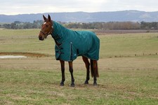 Weatherbeeta Comfitec Classic