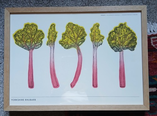 Yorkshire rhubarb risograph - rhubarb",