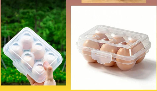 Grid egg holder box - egg,