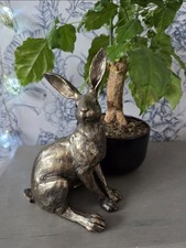 Stunning Sitting Hare Rabbit