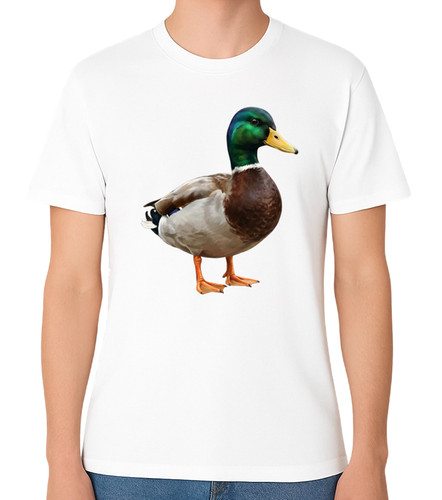 Mallard duck shirt - duck, t-shirt