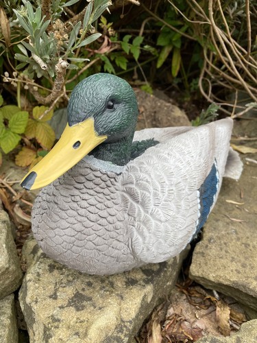 Mallard duck garden ornament - garden,