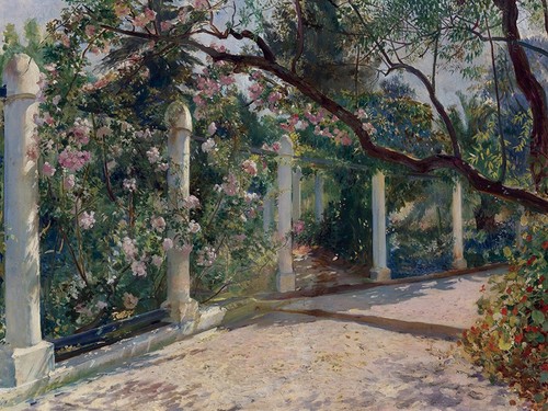 Almond trees algiers - trees,