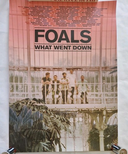 Foals what went - foals,