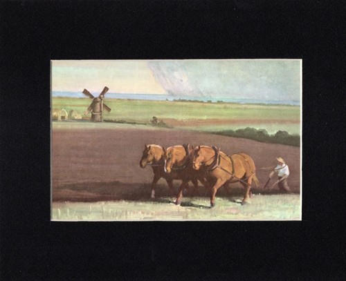 Suffolk punch horse print - punch,