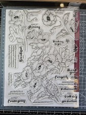 Altenew Bouquet of Poppies