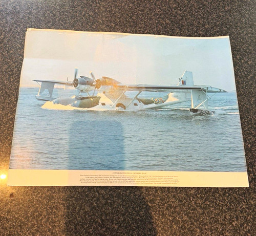 Consolidated pby catalina - consolidated,