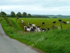 Photo 6x4 mark - photo,