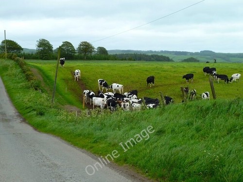 Photo 6x4 mark - mark, farm