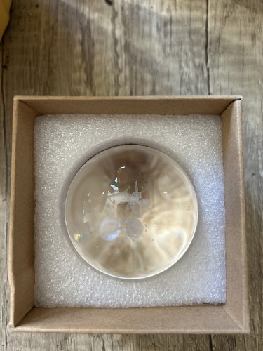 Tinkerbell glass ornament - glass,