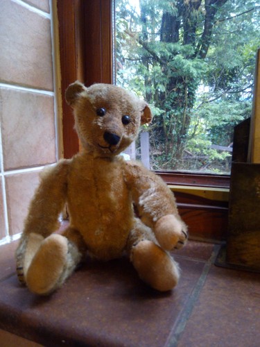 Rare old 1900 antique steiff - 1900's,