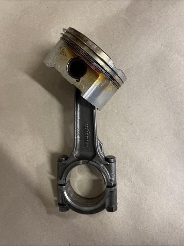 Genuine triumph tiger - genuine, 955i