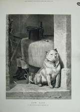 Antique Old Print 1874 Edwin Landseer Fine Art Puppy Dog Boots Jug Bottle 19th