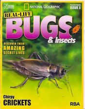 real-life bugs &