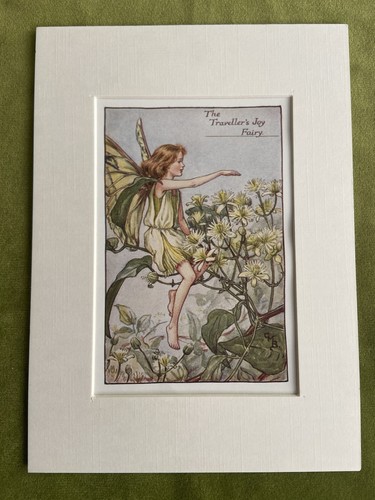 Traveller joy flower - joy’,