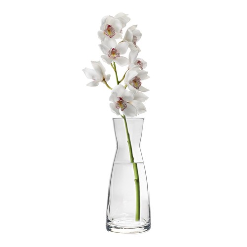 Bormioli rocco ypsilon - bormioli, glass