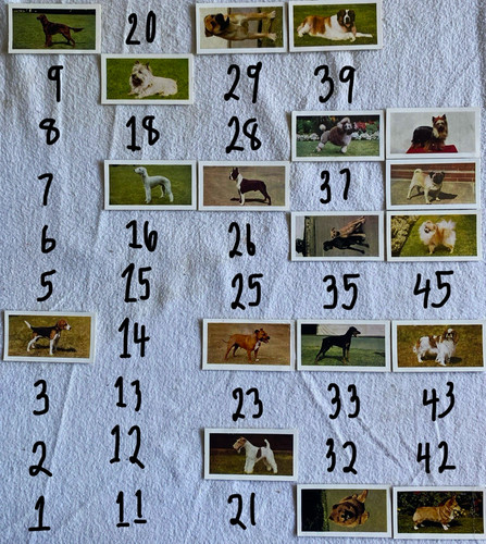 Hornimans tea dogs series - tea,