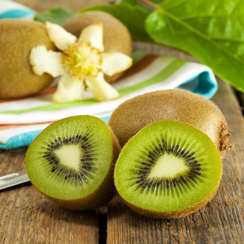 Kiwi jenny garden fruit - jenny,