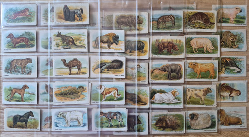 Hustler soap animals - 1st,, 2nd