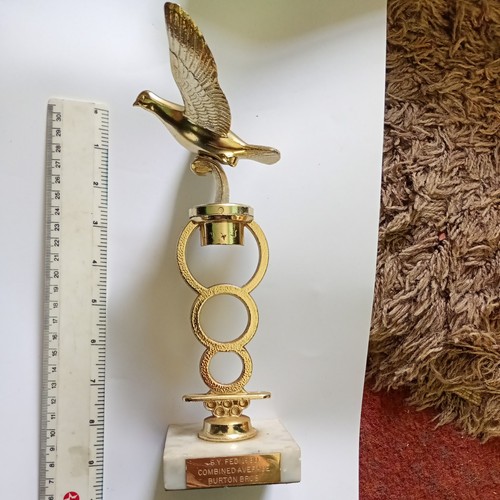 Pigeon racing trophy fed - pigeon,