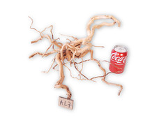 AQUARIUM DRIFTWOOD Fish Tank