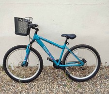 Entice Apollo Ladies Mountain