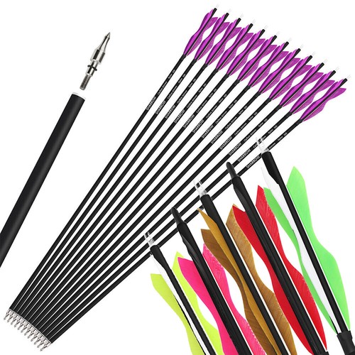 31 carbon arrows - 30", 31"