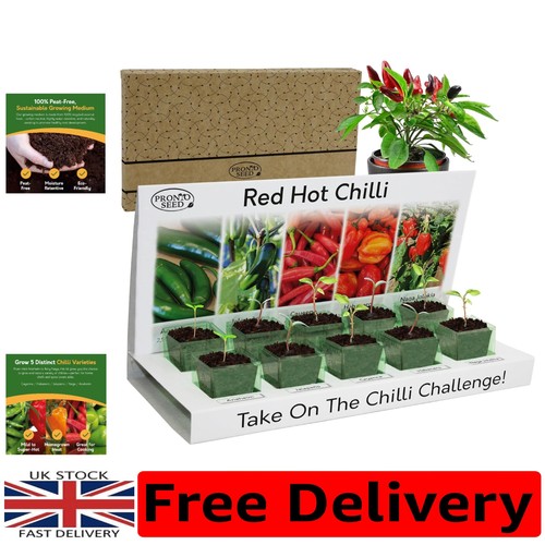 Chilli paradise - chilli,