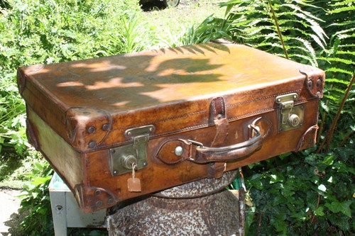 Antique antler leather - antler,