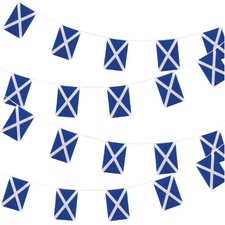 9m Scottish Flag Bunting 30